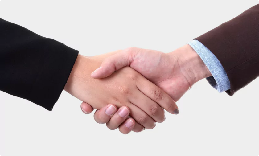 Professional Handshake